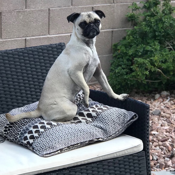 About Me! ❤️ - Picture 3 of 4